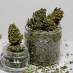 weed edibles