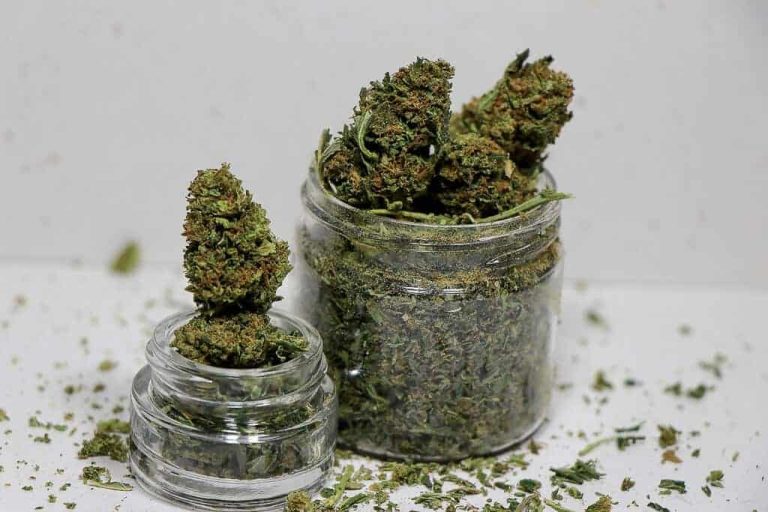 weed edibles